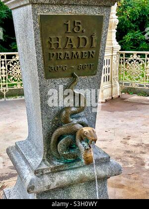 Source de serpent avec eau minérale chaude à Karlovy Vary, République tchèque. Banque D'Images