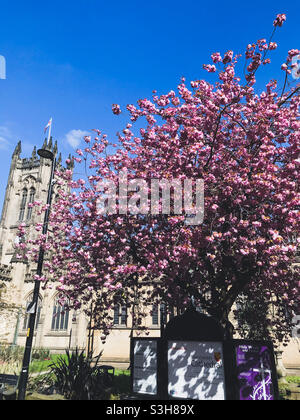 Cathédrale de Manchester au printemps Banque D'Images