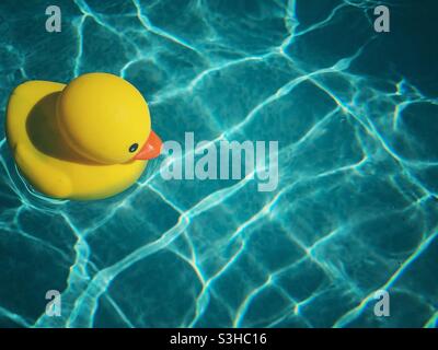 Un afloat ducky en caoutchouc jaune dans une piscine lors d'une journée ensoleillée à l'extérieur. Effet rétro. Banque D'Images