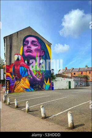 Peinture murale « Femme et perroquet » sur le côté d’un bâtiment de 3 étages situé dans le centre-ville de Belfast, en Irlande du Nord. L'œuvre d'art a été créée par l'artiste colombien Sancho Medina. Photo ©️ COLIN HOSKINS. Banque D'Images