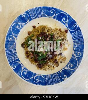 Risotto aux champignons et à la Pancetta recouvert de persil et de pecorino. 20.08.21. Banque D'Images