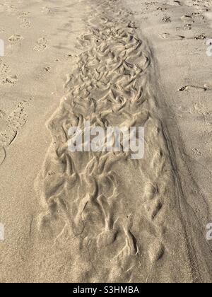 Motifs créés par le vent et les vagues dans le sable sur la plage Banque D'Images