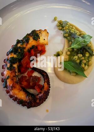 Gros plan d'un repas gastronomique de bard pieuvre avec réduction, 2021, États-Unis Banque D'Images