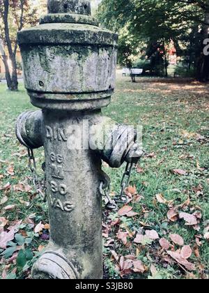 Une ancienne borne d'eau recouverte de mousse et de lichen dans un environnement automnal Banque D'Images