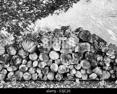 Un tas de bois de chauffage empilé contre un mur Banque D'Images