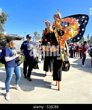 2021 finale de l'AFL au stade Optus, foule de préjeux devant des spectateurs près de deux femmes en costumes de papillons sur pilotis, Perth Australie occidentale. Banque D'Images