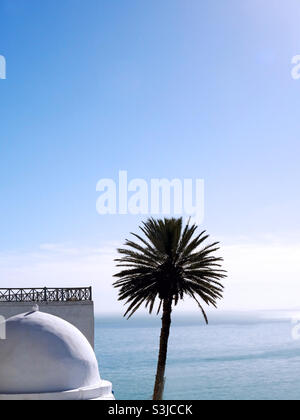 Magnifique point de vue d'un haut palmier haut de gamme en face de l'eau de mer bleue avec l'architecture blanche de dôme gros plan. Disponible pour le site Web d'Alamy. Banque D'Images
