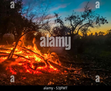 Un feu de joie de jardin en automne après le coucher du soleil, sous un ciel sombre orange et bleu Banque D'Images