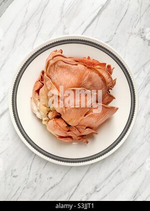 Champignons d'huîtres roses sur plaque en porcelaine sur marbre Banque D'Images