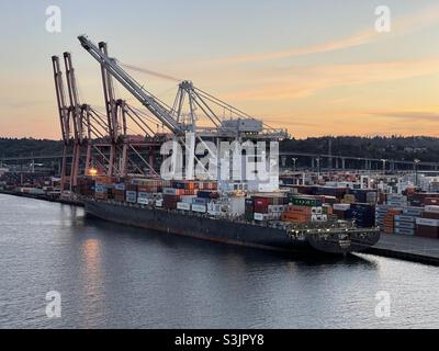 Navire-conteneur marchand amarré dans le terminal de Seattle, Washington, États-Unis prêt pour le chargement et le déchargement de marchandises par des grues portiques pendant le coucher du soleil en automne. Banque D'Images