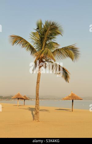 Une belle plage avec un palmier et des parasols sur les rives du lac Malawi. Banque D'Images