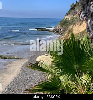 Septembre 2021, Swami's Beach, Encinitas, comté de San Diego,Californie, États-Unis, Amérique du Nord Banque D'Images