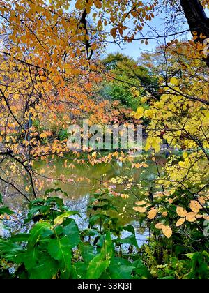 Les couleurs changeantes du feuillage d'automne dans le parc central près du lac, à New York Banque D'Images