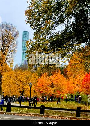 Feuillage d'automne coloré dans Central Park surplombant le quartier des milliardaires à New York Banque D'Images