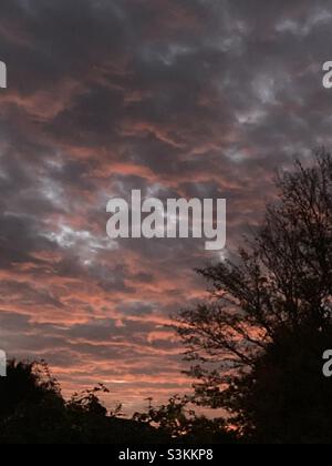 Coucher de soleil orange saisissant vu au-dessus de West Norfolk Fen, novembre 2021.Tons vifs de roses et d'oranges.Image prise sur mon iPhone depuis mon jardin arrière urbain.Ce coucher de soleil illumine le ciel. Banque D'Images