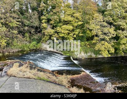 Cascade sur la rivière Ddder en automne, Dublin, Irlande Banque D'Images