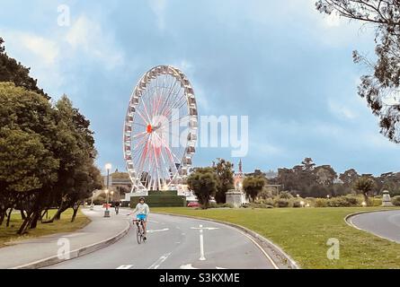 Skystar observation Ferris Wheel dans le Golden Gate Park Music Concourse près de la California Academy of Sciences avec cycliste, San Francisco, Californie. Banque D'Images