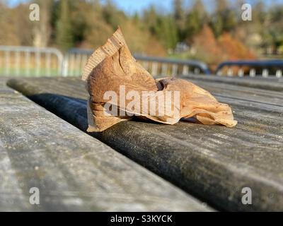 Utilisé teabag sur un banc en bois au soleil extérieur Banque D'Images