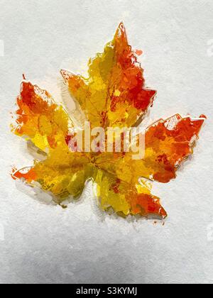 Une seule feuille d'automne sur fond blanc, réalisée de manière pâles et texturée via l'application IOS Glaze. Banque D'Images