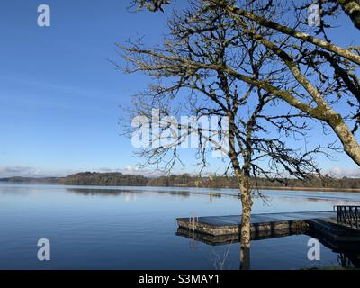 Parc forestier de Lough Key Banque D'Images