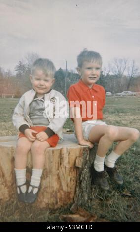 Deux jeunes garçons se sont assis sur une souche d’arbre dans les années 1960 aux Etats-Unis. Banque D'Images