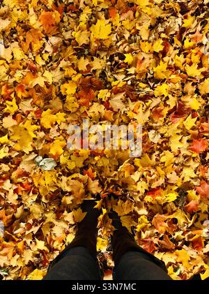 Les jambes d’une femme en bottes debout dans un tas de feuilles d’automne déchue colorées sur le sol Banque D'Images