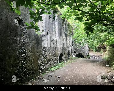 Ruines d'un ancien moulin à papier dans la Valle Delle Ferriere, Amalfi, Italie. Banque D'Images