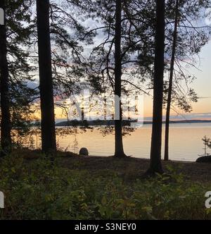 Soirée au lac Saimaa en Finlande Banque D'Images