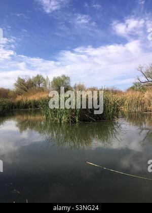 Clark County Wetlands Park Las Vegas Nevada Banque D'Images