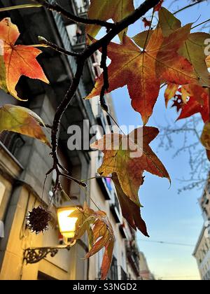 L'automne à Madrid Banque D'Images