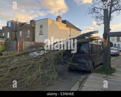 Un arbre est tombé sur une fourgonnette pendant la tempête Eunice dans le nord de Londres Banque D'Images