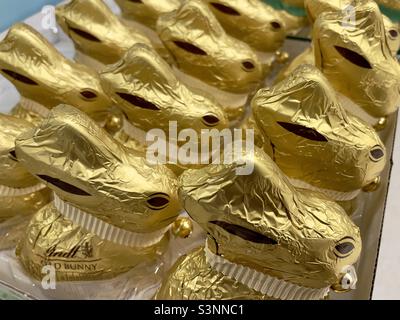 Des rangées de pains de Pâques au chocolat enveloppés de papier d'aluminium à vendre dans un supermarché de Worcester Banque D'Images