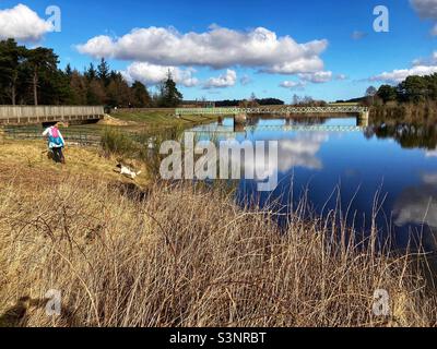 Harlaw Reservoir, parc régional de Pentland Hills, Édimbourg Banque D'Images