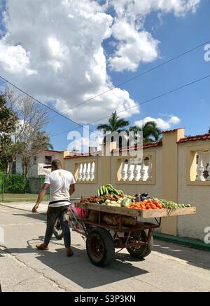 Homme tirant un chariot avec des fruits et des légumes dans une rue à la Havane, Cuba Banque D'Images