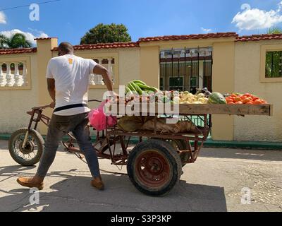 Homme tirant un chariot avec des fruits et des légumes dans une rue à la Havane, Cuba Banque D'Images