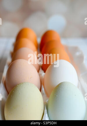 Œufs pastel frais sans cage en carton, profondeur de champ Banque D'Images