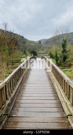 Pont sur la rivière Fluvià à Castellfollit de la Roca, Catalunya, Espagne. 18 mars 2022. Banque D'Images