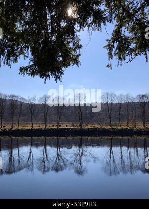 Arbres reflétés dans la rivière sous un ciel bleu clair Banque D'Images