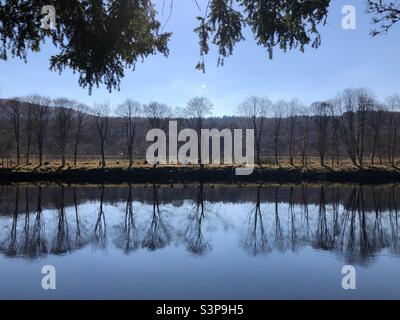 Arbres reflétés dans la rivière sous un ciel bleu clair Banque D'Images