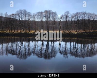 Arbres reflétés dans la rivière sous un ciel bleu clair Banque D'Images