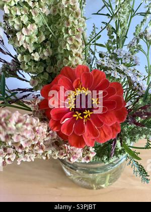 Bouquet de fleurs sauvages du Québec et un zinnia rouge dans un pot de maçon. Banque D'Images