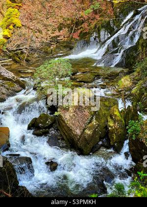 Cascade au pont Devil's, Pontarfynach, Ceredigion, pays de Galles du milieu. Banque D'Images