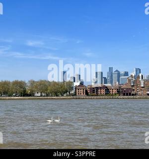 Vue sur Canary Wharf de l'autre côté de la Tamise depuis Greenwich avec deux cygnes sur l'eau avril 2022 Banque D'Images