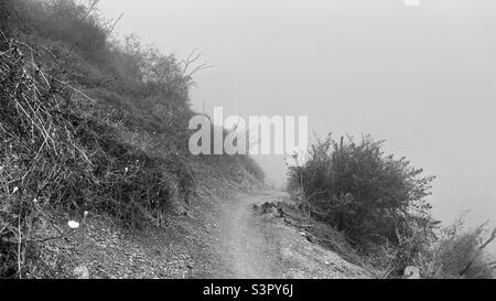 Backbone Trail, sentier de randonnée mène dans le brouillard, passé la végétation de l'écuelle, tôt le matin dans les montagnes de Santa Monica, Californie du Sud. Noir et blanc Banque D'Images