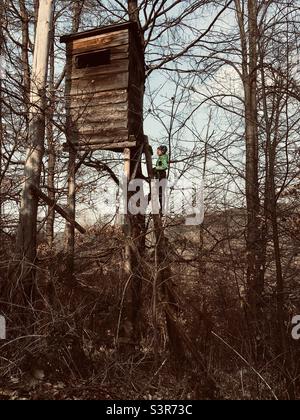 Garçon enfant enfant grimpant sur une échelle sur un stand surélevé dans la forêt, Sopron Mountains, Hongrie Banque D'Images