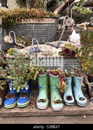 Les vieilles bottes ont été réutilisées comme jardin fleuri Minature Banque D'Images