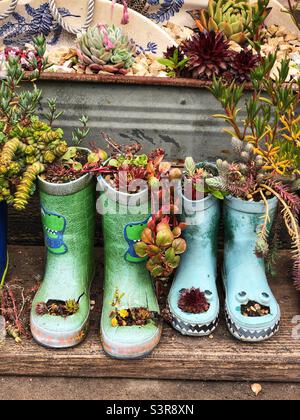 Les vieilles bottes ont été réutilisées comme jardin fleuri Minature Banque D'Images