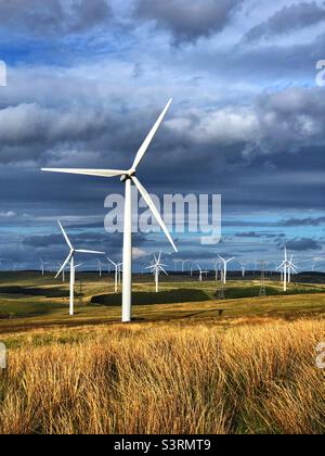 Parc éolien côtier de Crystal rig, collines de Lammermuir, Écosse Banque D'Images