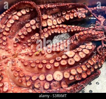 Gros plan des tentacules de pieuvre cuits en vente sur un marché de poissons haut de gamme, New York City, États-Unis, 2022 Banque D'Images