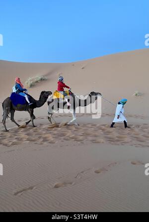 Balade à dos de chameau visite guidée dans le désert marocain, Maroc, Afrique du Nord Banque D'Images